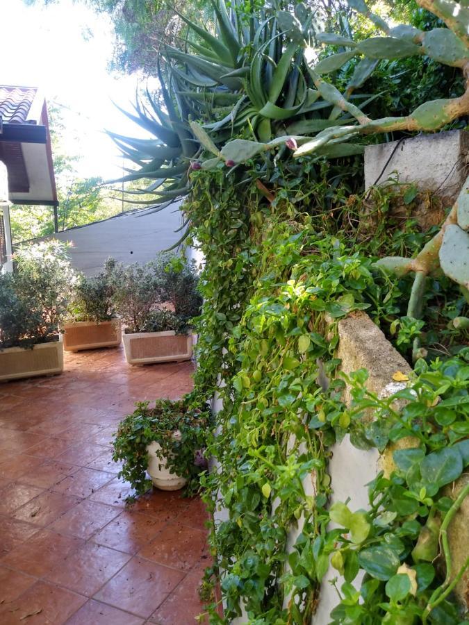 Tramonto Blu Apartment Palermo Bagian luar foto